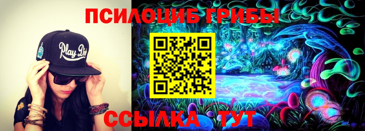 Галлюциногенные грибы мицелий Казань